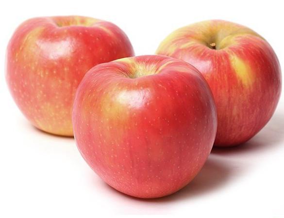 דבש פריך, עץ תפוח בחורף: תיאור של מגוון