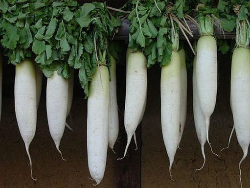 מתי לנקות את daikon? כיצד לאחסן daikon?