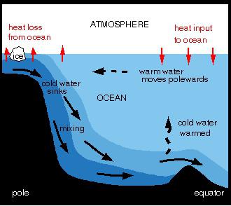 מהי זרימת תרמוהלין של האוקיינוסים?
