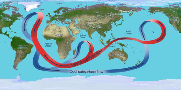 זרמי האוקיינוס ​​העולמי. מהו זרם קר וחם? תיאור ודוגמאות