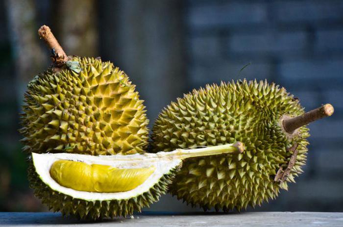 למה אתה לא יכול לייצא durian מתאילנד