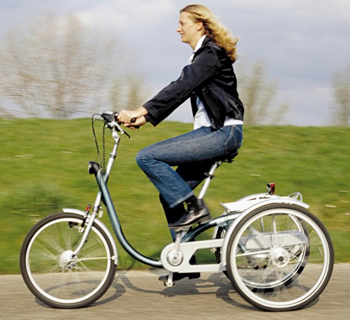 יש צורך באופניים דו-גלגליים למבוגרים בארץ